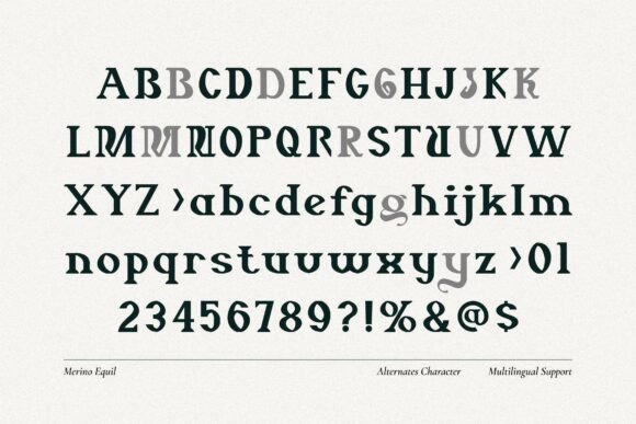 Merino Equil Font PNG with transparent background - Preview 4