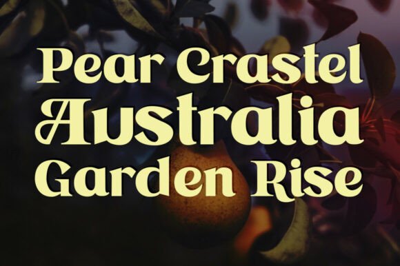 Astone Nisam Font - Preview 4