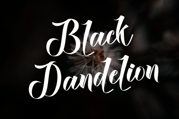 Boyband Font - Preview 4