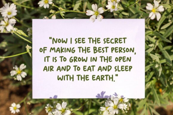 Backyard Font - Preview 1
