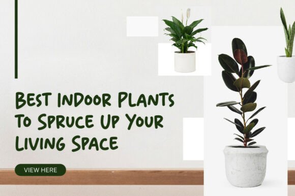 Backyard Font - Preview 2