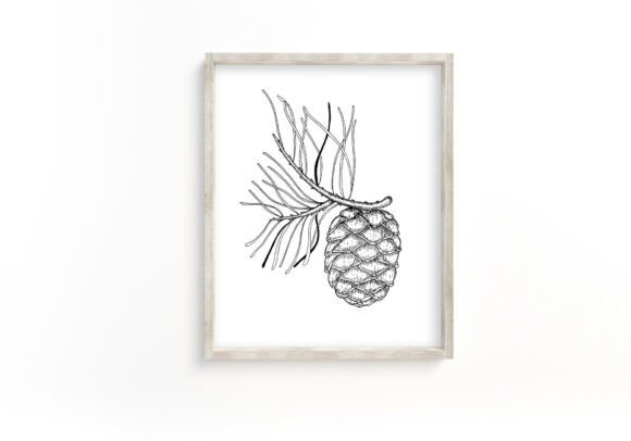 Black Pinecone Nordic Wall Print