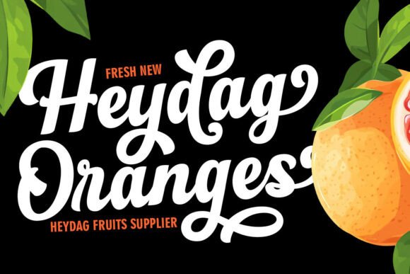 Flondayscript Regular Font - Preview 3