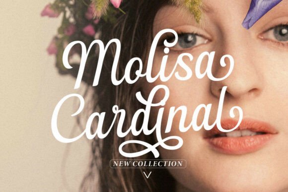 Flondayscript Regular Font - Preview 4