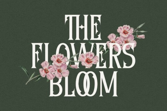 Diomeca Font - Preview 1