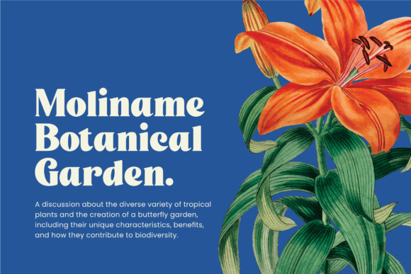 Lahuddin Font PNG with transparent background - Preview 4