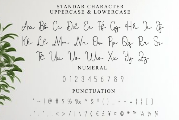Bestia Signature Font - Preview 6