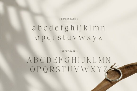 Carolan Font PNG with transparent background - Preview 4