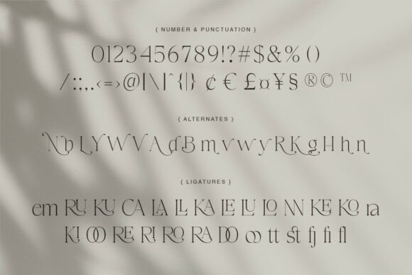 Carolan Font PNG with transparent background - Preview 5