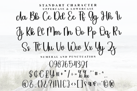 Nothing Stylish Font PNG with transparent background - Preview 4
