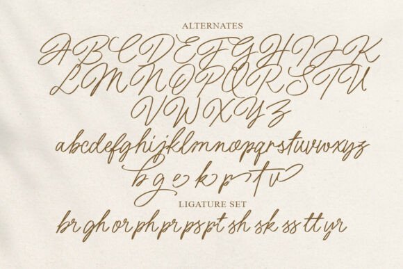 Rich Relation Font PNG with transparent background - Preview 4