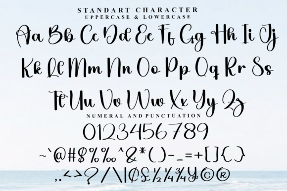 Amellia Font - Preview 4