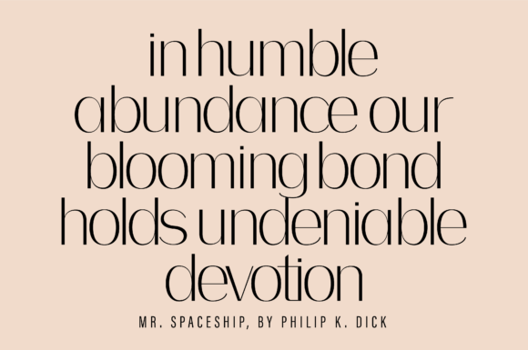 Bodon Font - Preview 2
