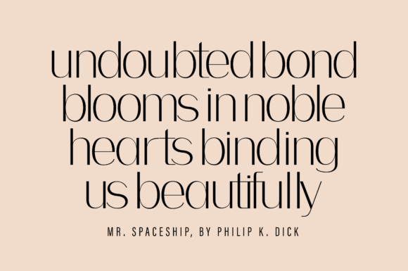 Bodon Font - Preview 3