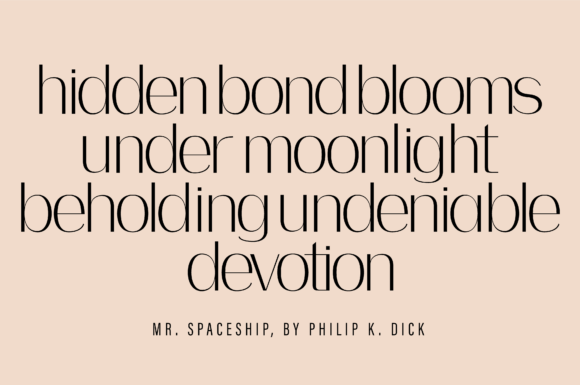 Bodon Font - Preview 4