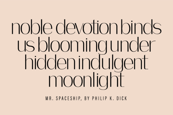 Bodon Font - Preview 6