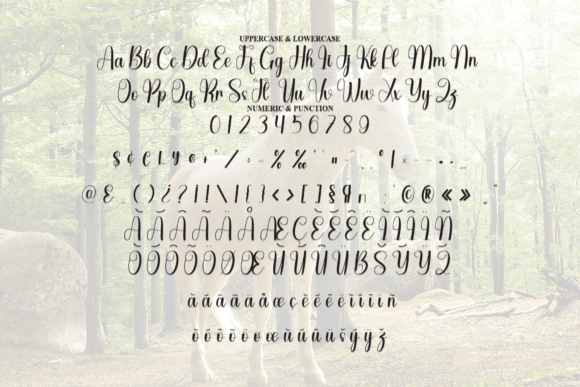 Enchanting Font - Preview 6