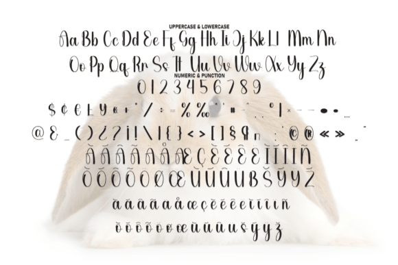 Happy Bunny Font - Preview 6