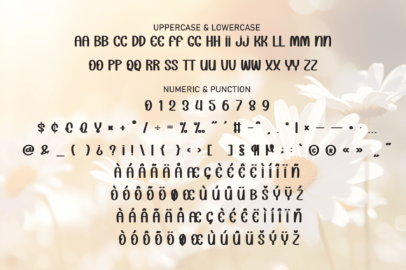 Daisy Sunshine Font PNG with transparent background - Preview 6