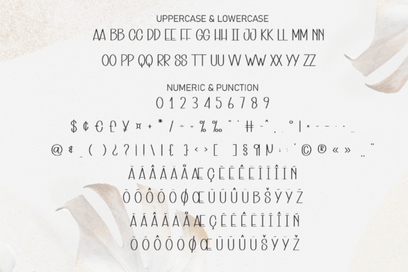 Elegant Font - Preview 6