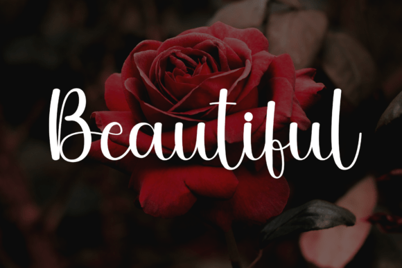 Butterfly Font - Preview 4