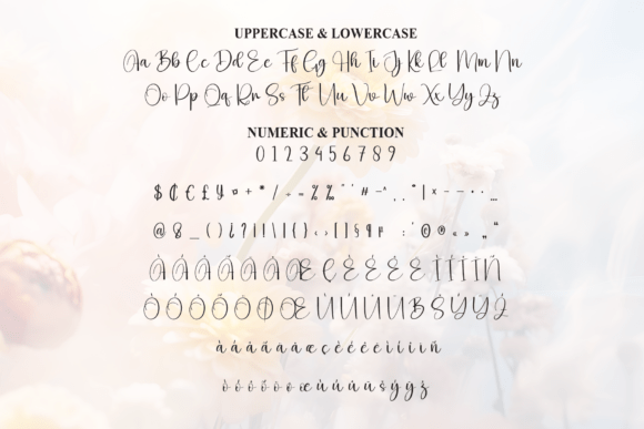 Delightful Font - Preview 6
