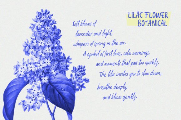 Oliver Whisper Font PNG with transparent background - Preview 6