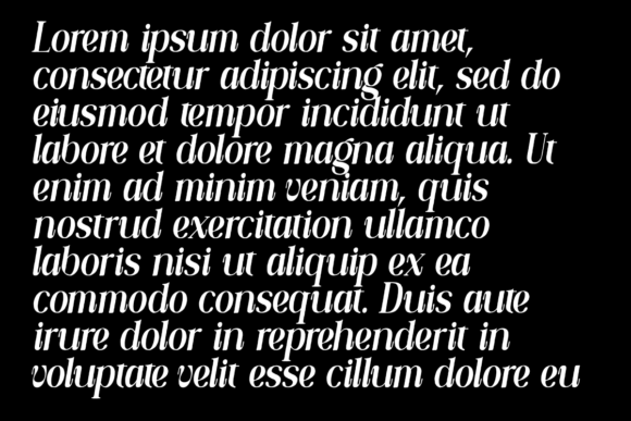 Callivora Italic Font - Preview 5