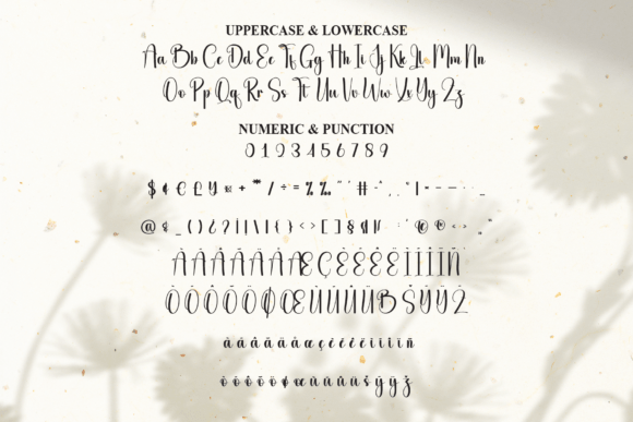 Greeting Font - Preview 6