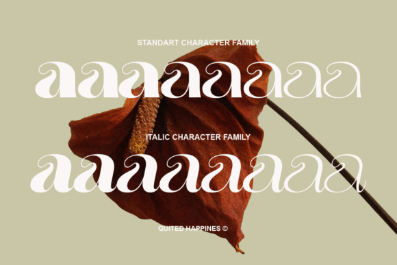Quited Happines Font PNG with transparent background - Preview 1