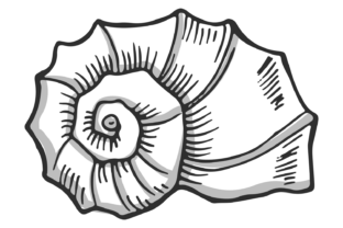 Snail Shell Hand Drawn Icon. Decorative Graphic by onyxproj · Creative ...