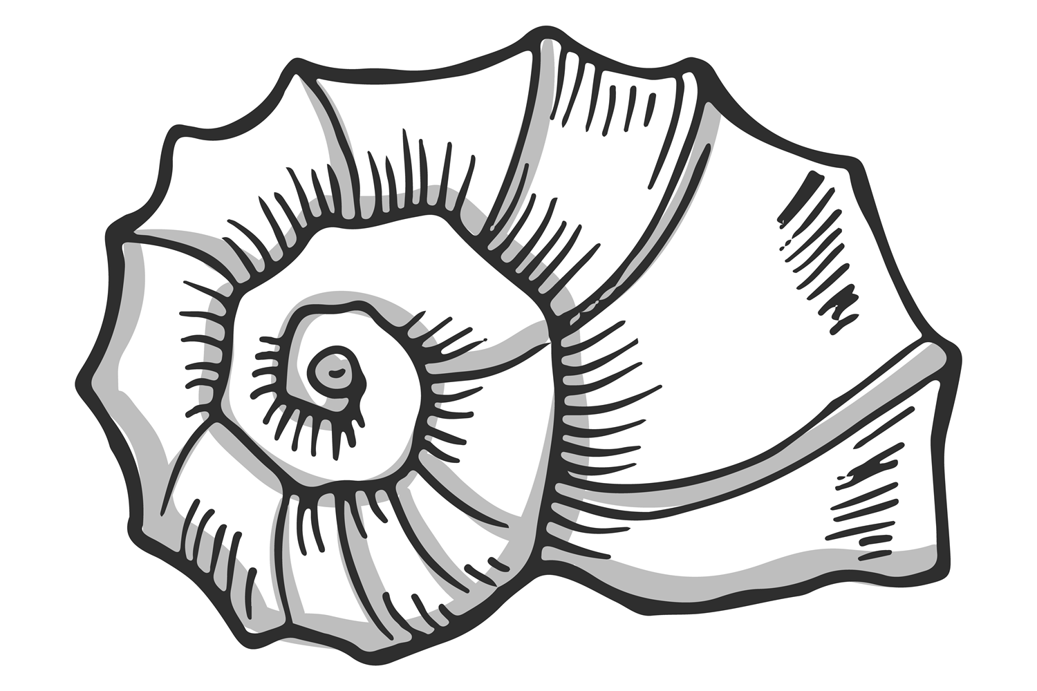Snail Shell Hand Drawn Icon. Decorative Graphic by onyxproj · Creative ...