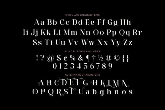 Eko Ringlos Font - Preview 4