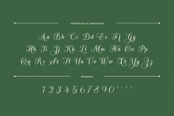 Arachis Font - Preview 1