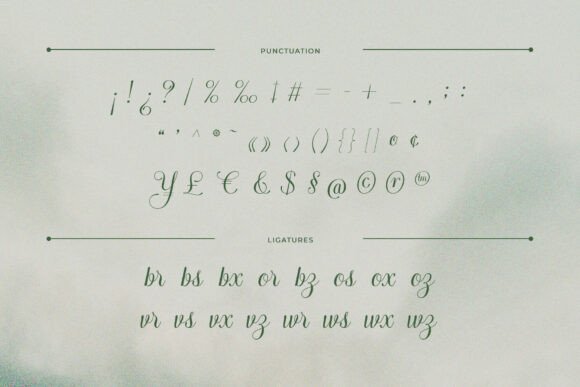 Arachis Font - Preview 2
