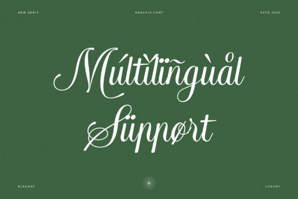 Arachis Font - Preview 3