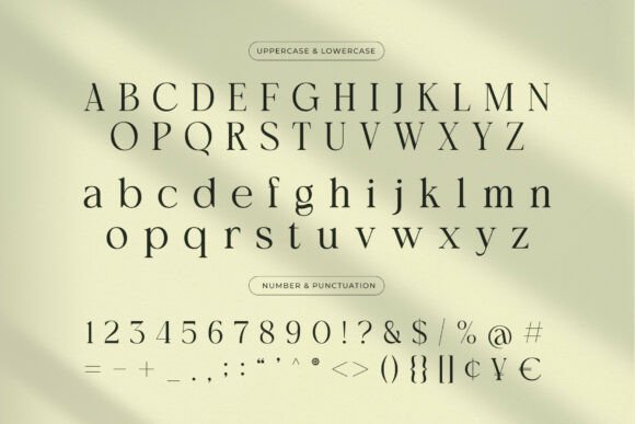 Arashy Font - Preview 1