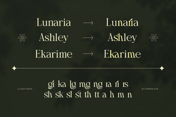 Arashy Font - Preview 2