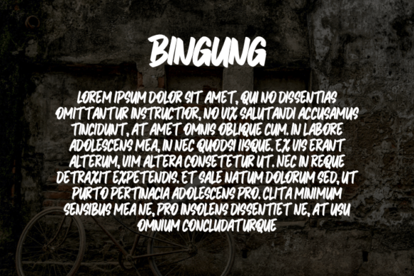 Bingung Font - Preview 2