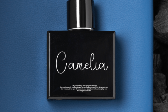 Company Font - Preview 3