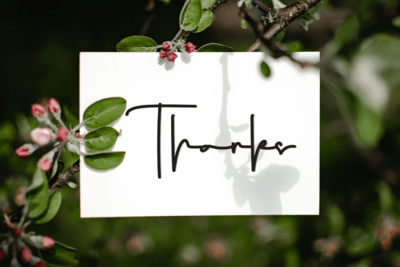 Cheesecake Font - Preview 6