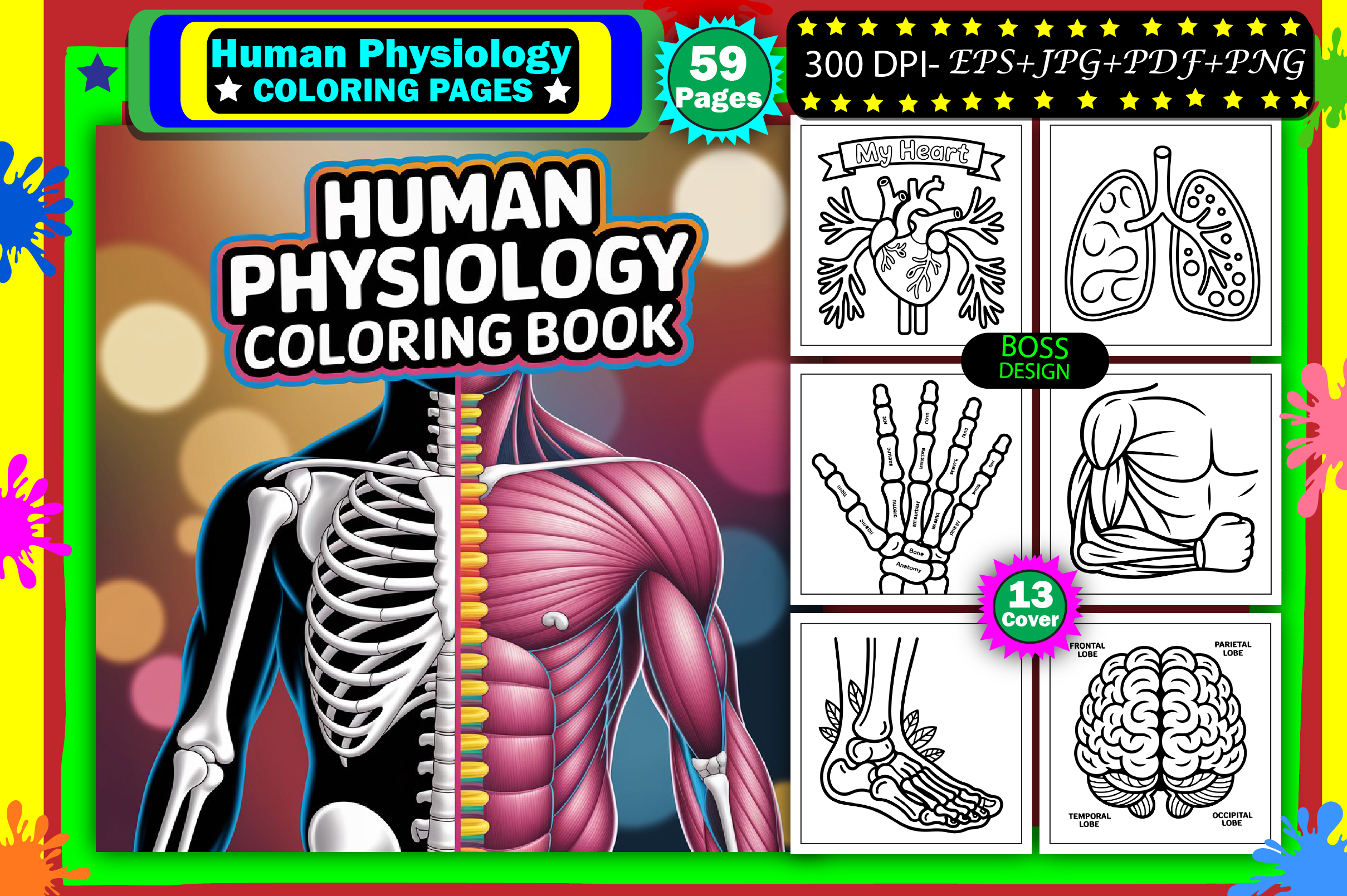 Human Physiology Coloring for Adults