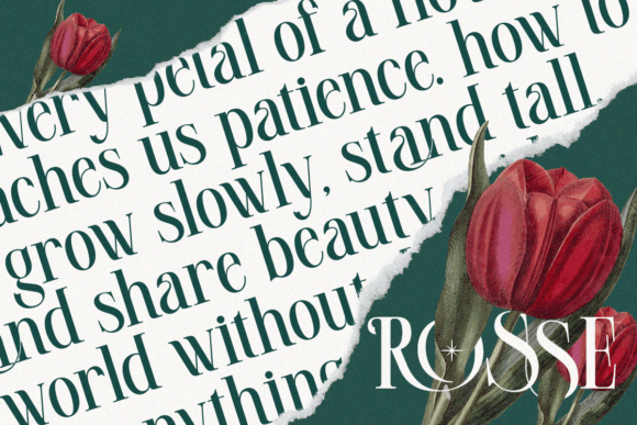 Malikarosse Regular Font PNG with transparent background - Preview 4