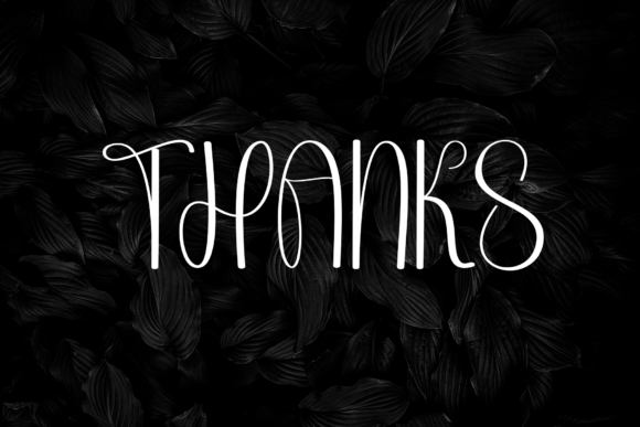 Black Font - Preview 6