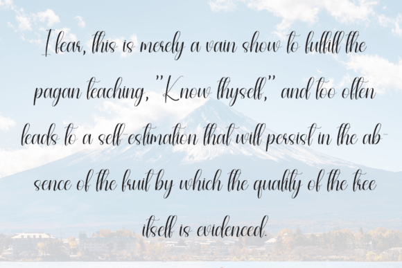 City Magnolia Font - Preview 5