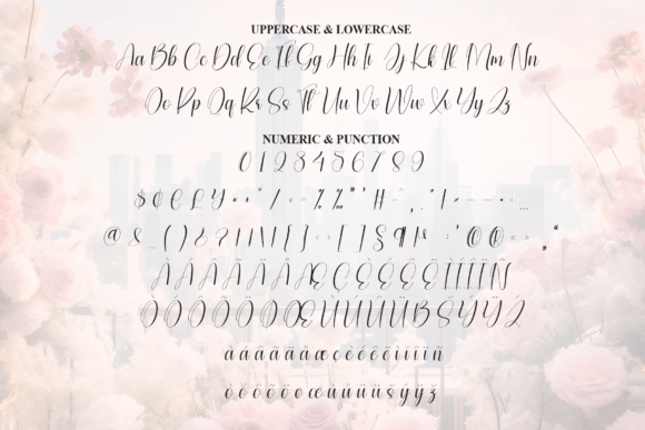 City Magnolia Font - Preview 6