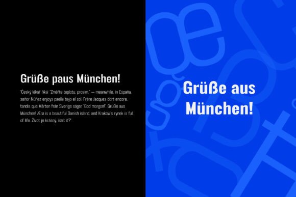 Ft Neue Buddy Font PNG with transparent background - Preview 3