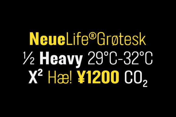 Ft Neue Buddy Font - Preview 5
