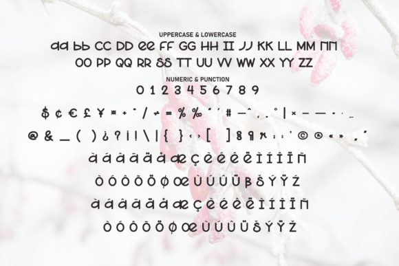 Snowberry Font PNG with transparent background - Preview 6