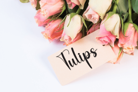 Bestie Font - Preview 4